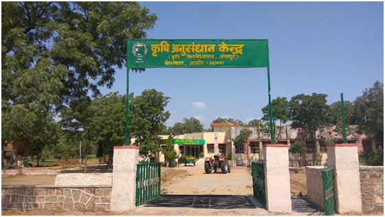 ARS Jalore Agriculture University, Jodhpur