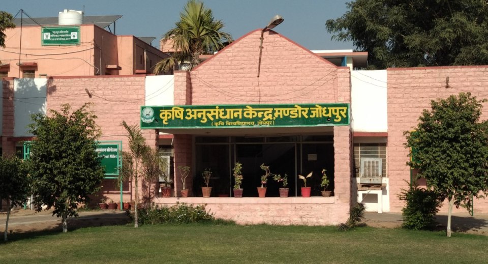 ARS Mandor Jodhpur Agriculture University, Jodhpur