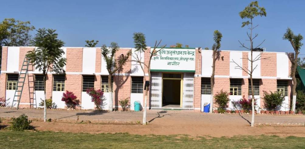 ARSS Nagaur  Agriculture University, Jodhpur