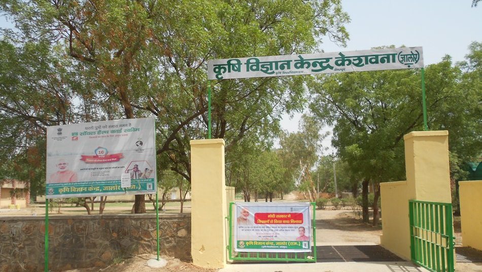 KVK Jalore   Agriculture University, Jodhpur