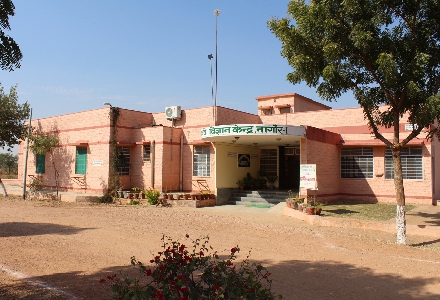 KVK Nagaur 1  Agriculture University, Jodhpur