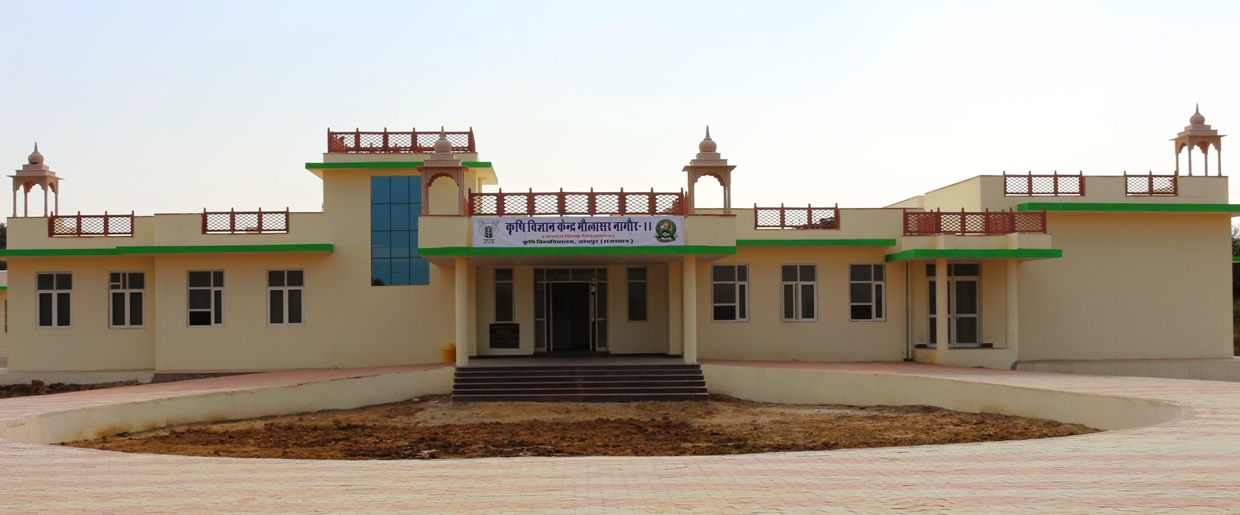 KVK Nagaur 2  Agriculture University, Jodhpur
