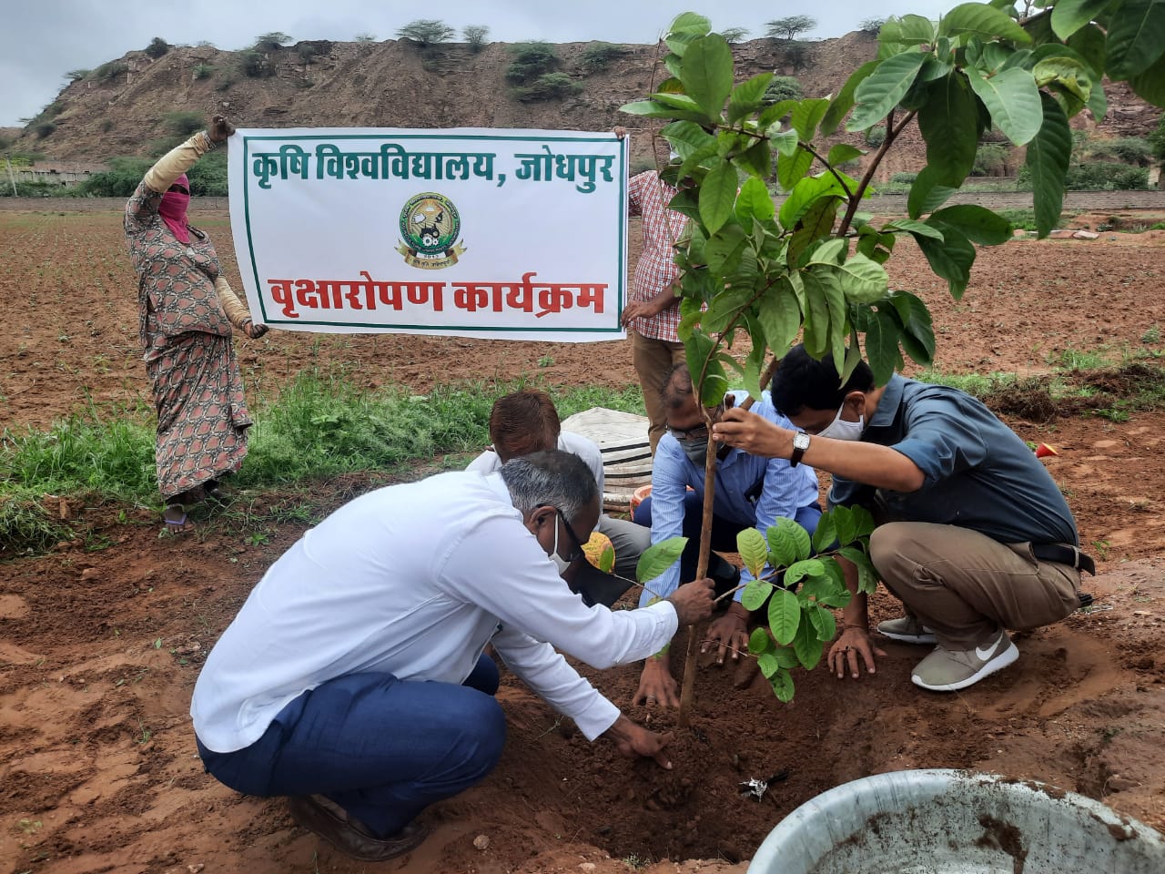 AUJ | Agriculture University, Jodhpur